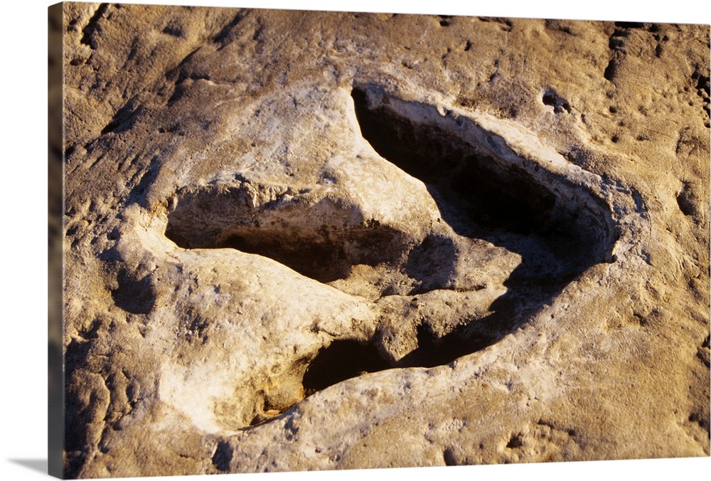 1990's Dinosaur Track Glen Rose TX.