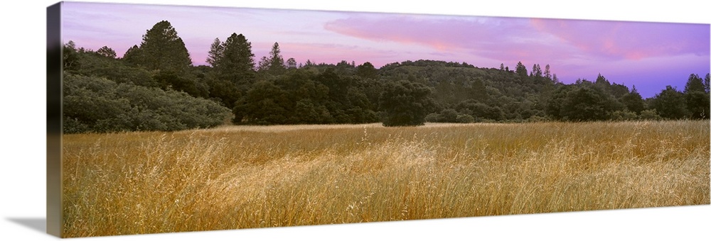 A sunset hovers over a meadow at Quail Hollow Ranch County Park, Felton, California, USA.