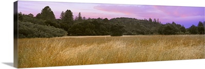 A sunset hovers over a meadow at Quail Hollow Ranch County Park, Felton, California