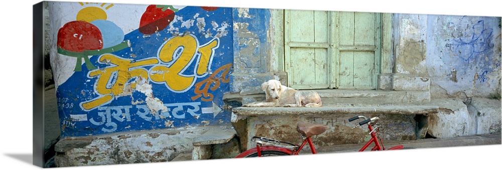 Advertisement painted on the wall of a building, Udaipur, Rajasthan, India