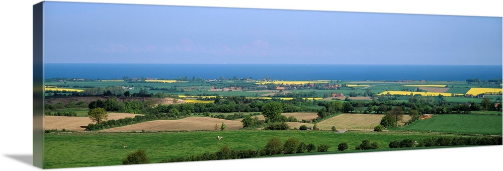 Aerial view of a landscape and quickset hedge, Schleswig-Holstein, Germany