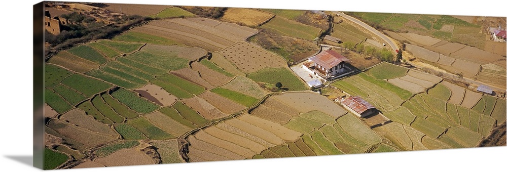 Aerial view of farmhouses in fields, Kathmandu, Nepal