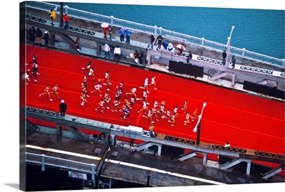 Aerial view of people running in Chicago Marathon, Chicago, Cook County, Illinois