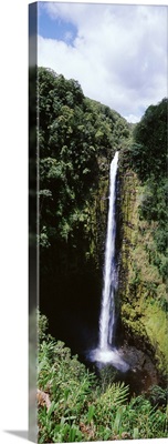 Akaka Falls Hilo HI