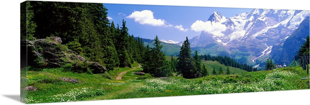 Panoramic photograph shows an open landscape atop a mountain within Europe that is bordered and sprinkled with tall trees ...