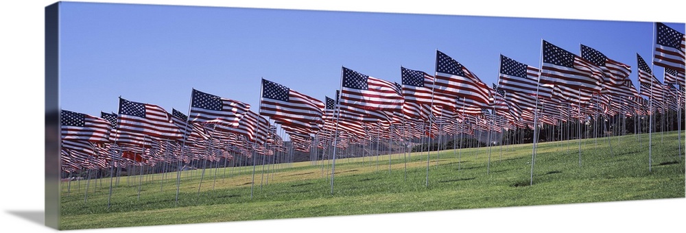 American flags in memory of 9/11, Pepperdine University, Malibu, California