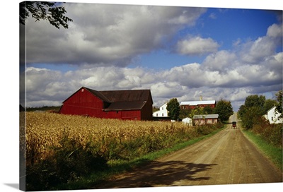 Amish farm buildings and corn field along country road, Ohio