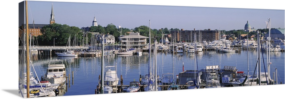 Panoramic photograph of harbor filled with boats with trees in the distance under a clear sky.