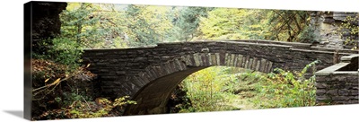 Arch bridge in a forest Robert H. Treman State Park Ithaca Tompkins County Finger Lakes New York State