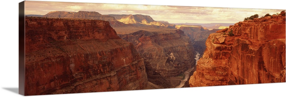 Panoramic, landscape photograph of the Grand Canyon beneath a golden sky, in Arizona, at Toroweap Point.