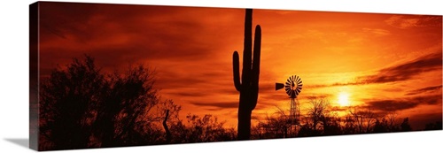 Arizona, Sonoran Desert, sunset Wall Art, Canvas Prints, Framed Prints ...