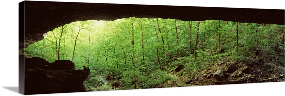 Arkansas, Ozarks, Lost Valley, Cobb Cave, Panoramic view of a forest ...