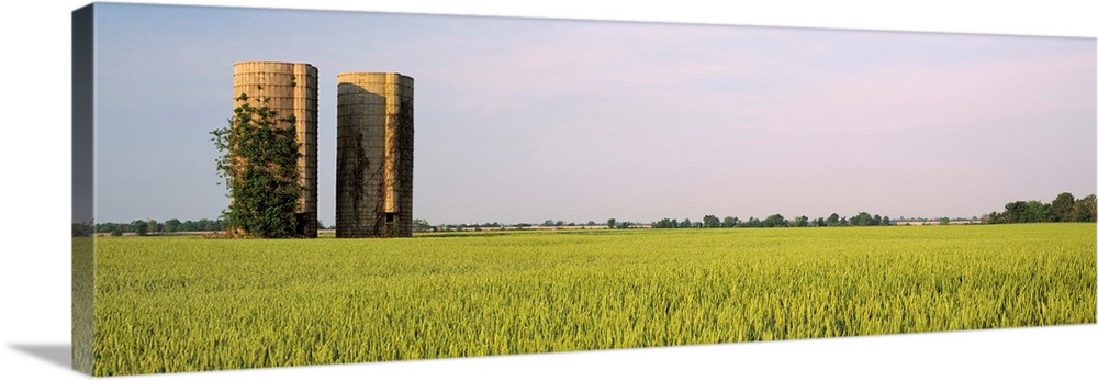 Arkansas, View of grain silos in a field