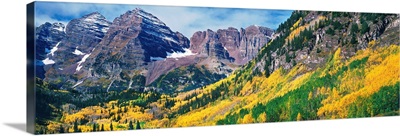 Aspen trees in autumn with Maroon Bells, Elk Mountains, Pitkin County, Colorado