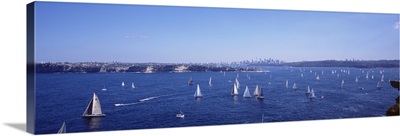 Australia,Sydney Harbor, yacht race
