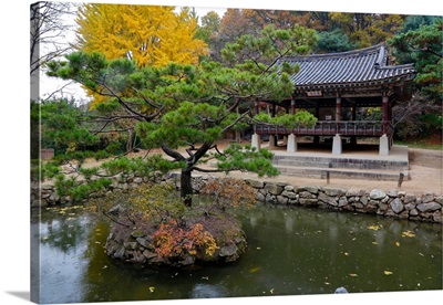 Autumn Color At Namsangol Folk Village, Seoul, South Korea