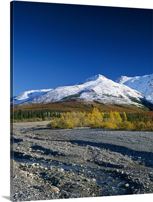 Autumn color foliage along rocky river bed, snowy foothills, Denali National Park, Alaska
