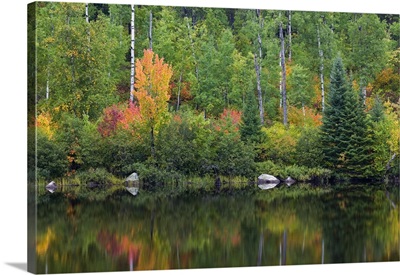 Autumn color trees along Pike River, water reflection, Minnesota