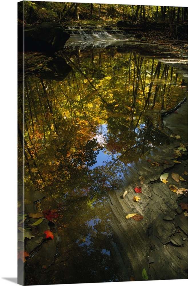 Autumn color trees reflected in stream, Ohio