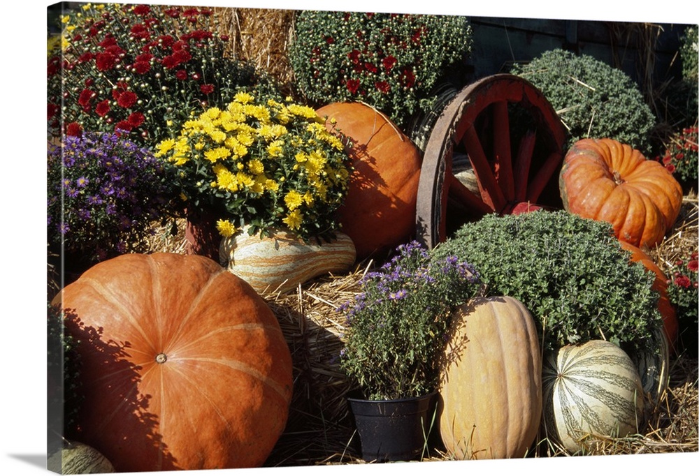 Autumn harvest display with squash, mum flowers, and wagon wheel.