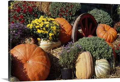Autumn harvest display with squash, mum flowers, and wagon wheel.