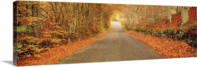 Autumn Road Scotland