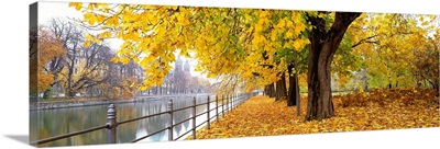 Autumn Scene Munich Germany