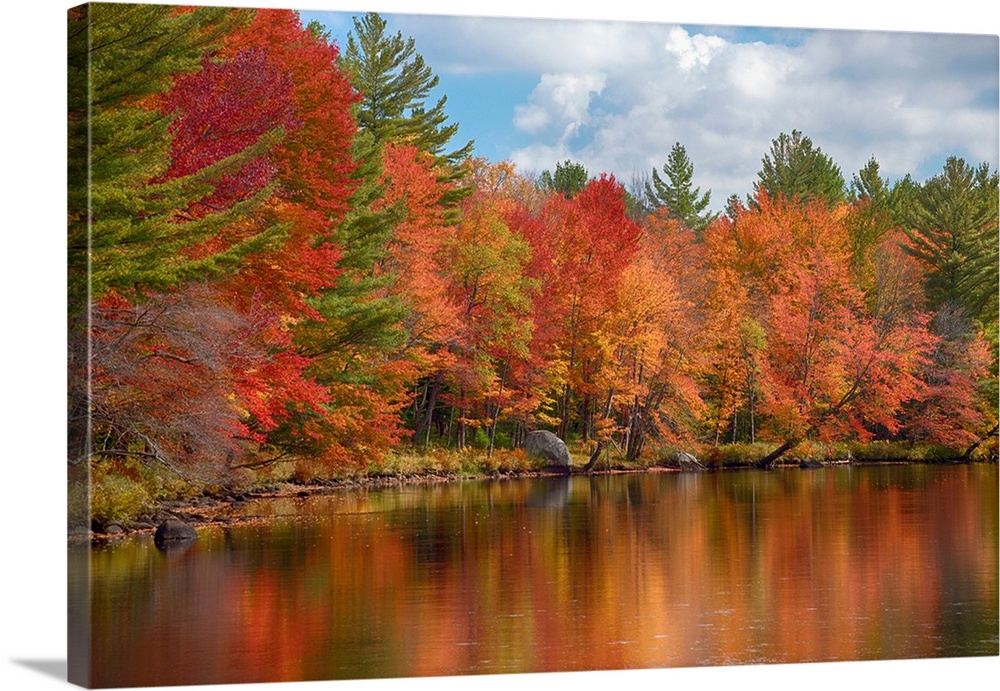 Autumn trees at riverbank, Oswegatchie River, Adirondack Mountains State Park, New York State, USA