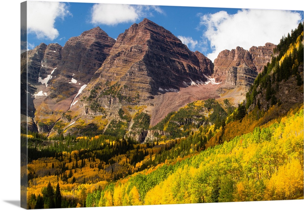 Autumn trees on mountain, Maroon Bells, Maroon Creek Valley, Aspen, Pitkin County, Colorado, USA