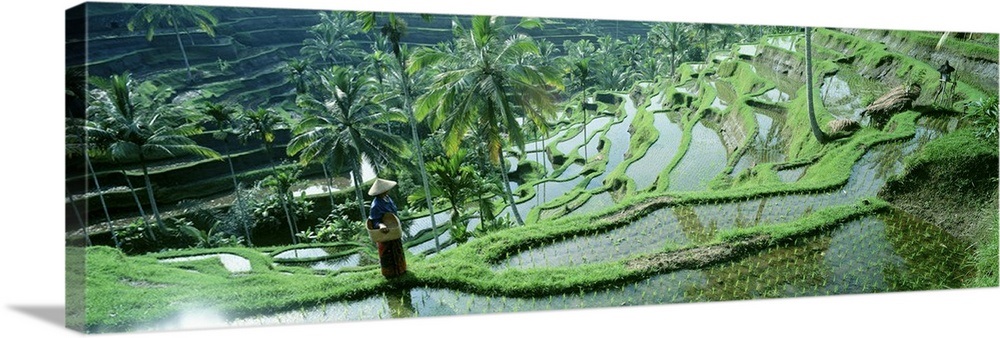 Bali Indonesia Wall Art, Canvas Prints, Framed Prints, Wall Peels