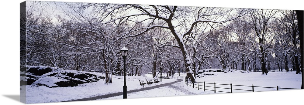Panoramic photograph of snow covered park.  There are benches, trees, a wooden fence and snow-cleared walkway.