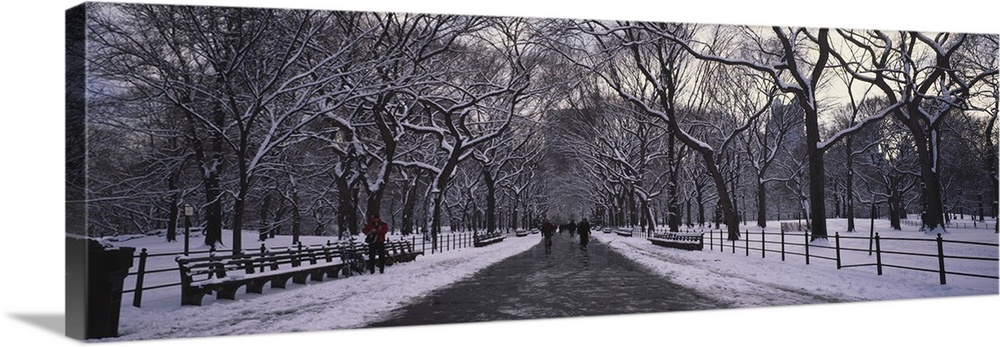 Panoramic view of a cold, snowy walkway through Manhattan central park in New York.