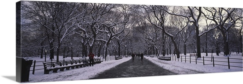 Bare trees in a park, Central Park, New York City, New York State Wall ...
