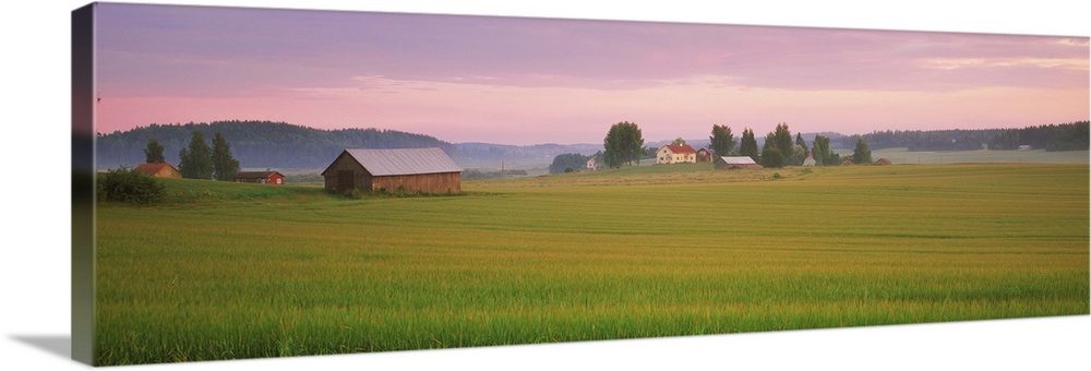Barn and wheat field across farmlands at dawn, Finland