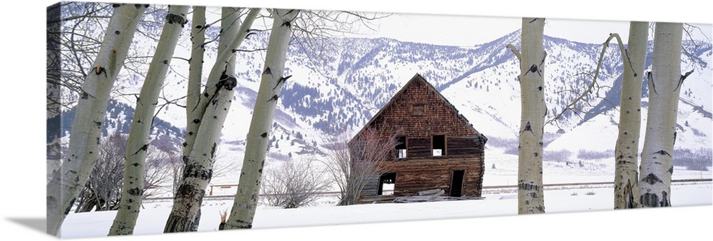 This wall art is a panoramic photograph of decrepit barn in a snowy valley.