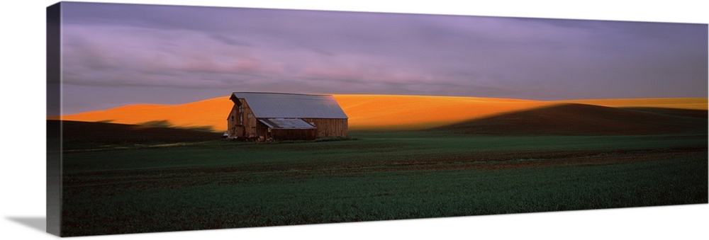 Barn in a field at sunset, Palouse, Whitman County, Washington State,