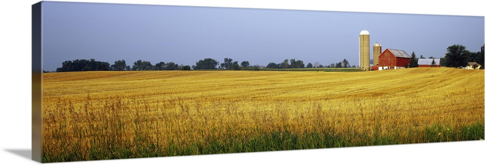 Barn in a field, Wisconsin, USA