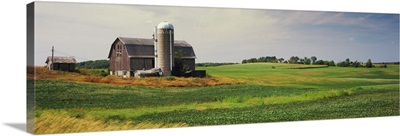 Barn in a field, Wisconsin