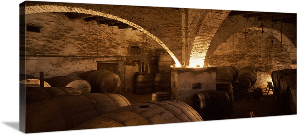 Wide angle photograph taken of large wine barrels in a cellar.
