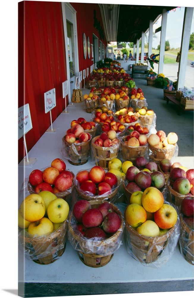 Baskets of harvested apple varieties, farmers market.