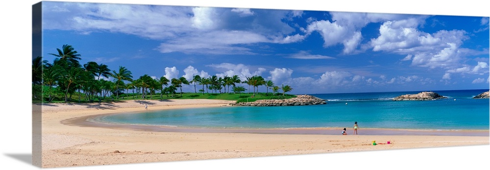 A panoramic photograph of a tropical cover on an island lined with palm trees and clear water.