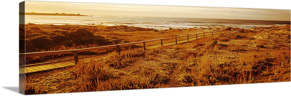 Beach Boardwalk Asilomar State Park Monterey CA
