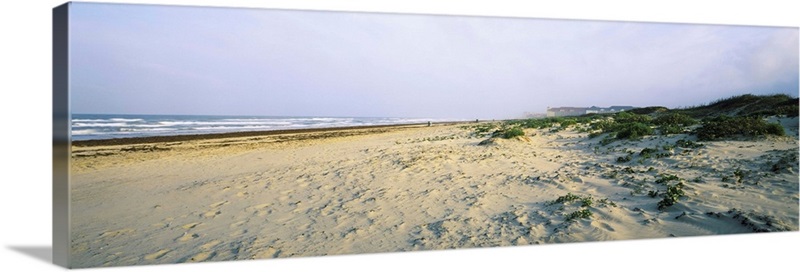 Beach, South Padre Island, Texas | Great Big Canvas