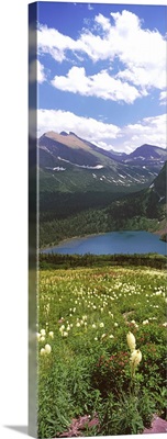 Beargrass with Grinnell Lake in the background, US Glacier National Park, Montana