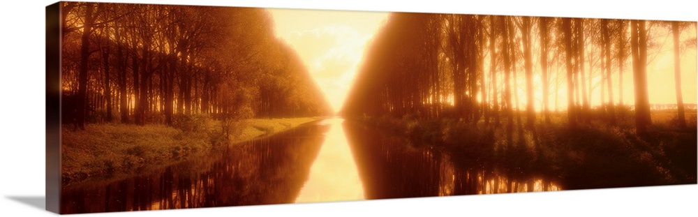 Belgium, tree lined waterway through countryside, sepia tone