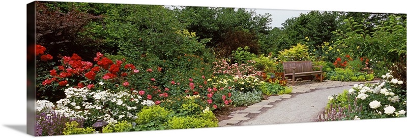 Bench in a garden, Olbrich Botanical Gardens, Madison, Wisconsin ...