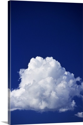 Billowing white cloud, blue sky.