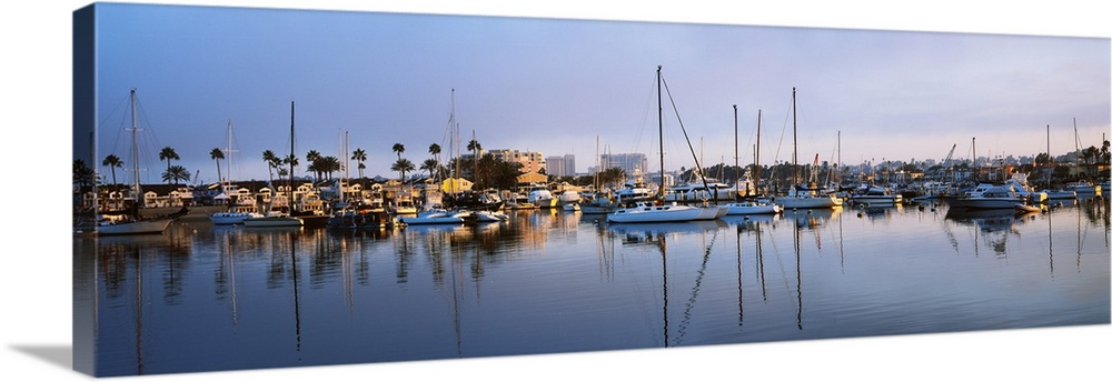 Boats at a harbor, Newport Beach Harbor, Newport Beach, California, USA