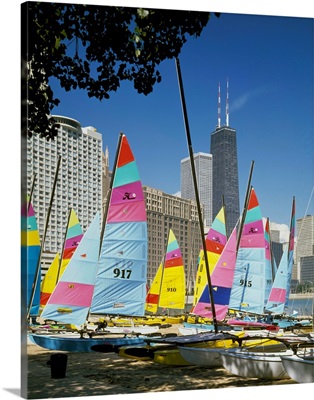 Boats docked at a harbor, Chicago, Cook County, Illinois