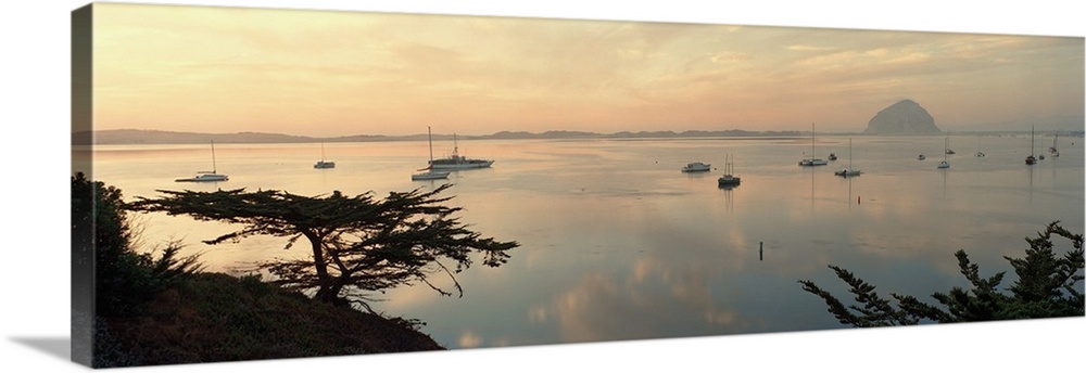 Wide angle photograph on a big canvas looking over a hillside at many small boats in the still waters of Morro Bay, as the...